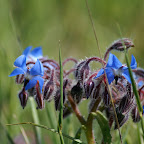PICT1232.JPG