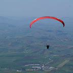 PICT1248.JPG
