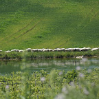 PICT1267.JPG