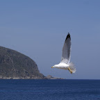 PICT1355.JPG