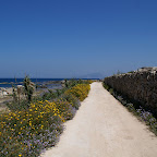 PICT1361.JPG