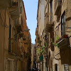 PICT1343.JPG