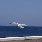 PICT1353.JPG