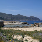 PICT1365.JPG