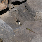 PICT1387.JPG
