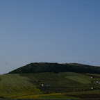 PICT1455.JPG