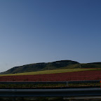 PICT1464.JPG