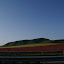 PICT1464.JPG