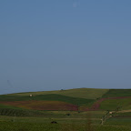 PICT1467.JPG