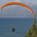 PICT0716.JPG