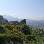 PICT0821.JPG