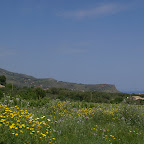 PICT0774.JPG