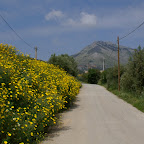 PICT0775.JPG