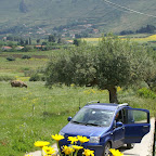 PICT0778.JPG
