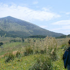 PICT0799.JPG