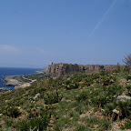 PICT0907.JPG