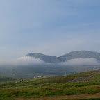 PICT0970.JPG