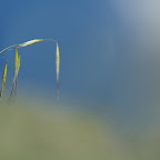 PICT1015.JPG