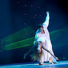 IMG_6068.jpg