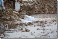 ice