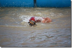 swim
