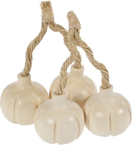 [BJF129__Garlic2.jpg]
