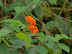 DSC02128.JPG