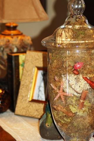 [apothecary jar filled with moss and stuff[3].jpg]