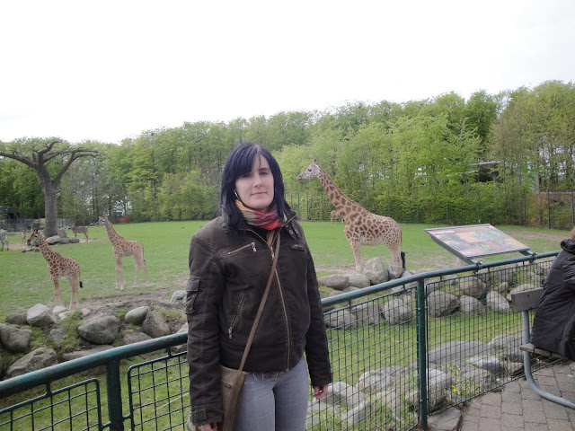 Yo y las jirafas