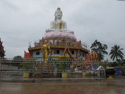 [IMG_06763.jpg]