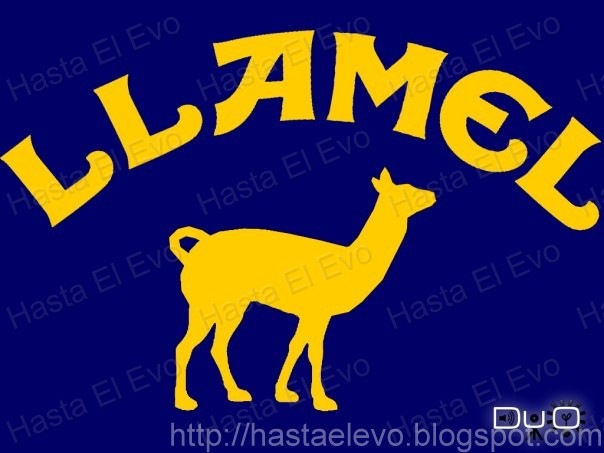 [llamel[3].jpg]