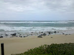 2010-02-28 15.31.33.jpg