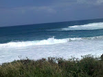 2010-03-01 12.07.13.jpg