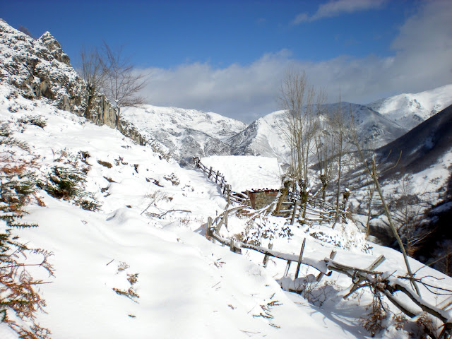 DSCN1732.JPG