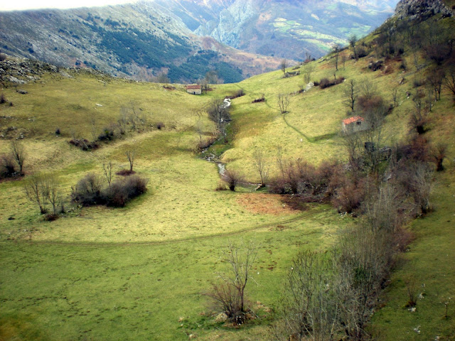 DSCN2445.JPG