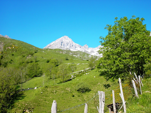 KIF_0172.JPG