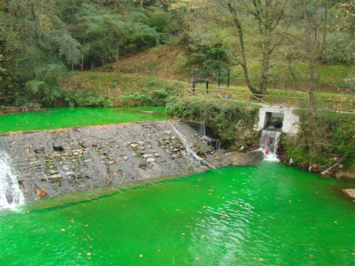 Oiartzun ibaia. Klik argazki gehiago