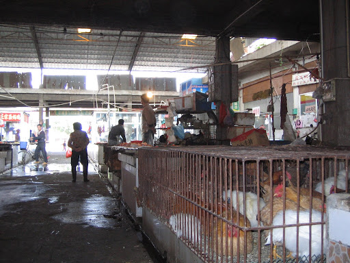 andale chicken house
