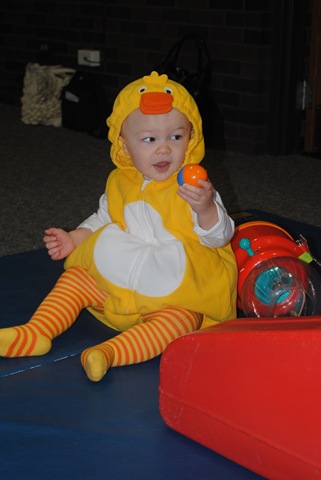 [DSC_0246[2].jpg]