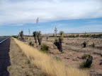 Desert