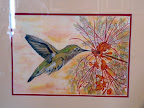 Humming Bird