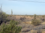 Arizona Desert