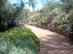 Cactus Farm