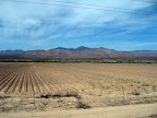 Arizona!