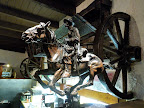 Cattlemans Ranch
