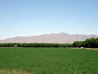 Mountains