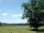 Scenery
