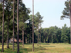 Scenery
