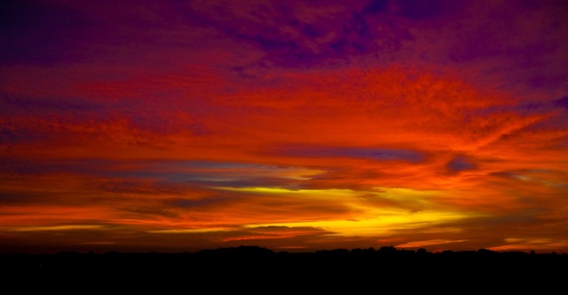 [Morning Glory-IMG_7669-Edit-Edit[5].jpg]