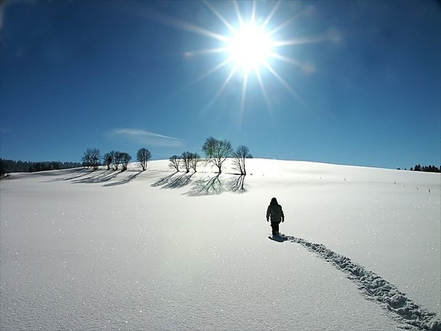 [walk_snow_side_Funzug.org_01[6].jpg]